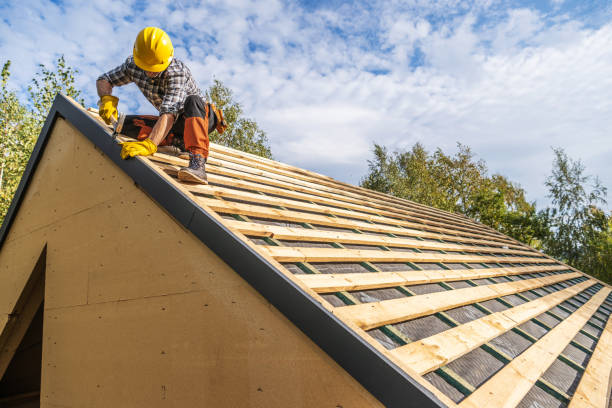 Best Roof Gutter Cleaning  in New Haven, CT