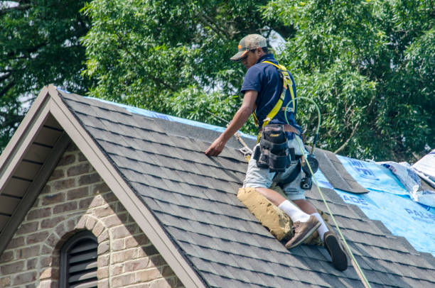Best Shingle Roofing Installation  in New Haven, CT